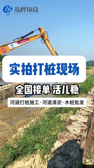 全国承接松木桩打桩施工 #河道清淤 #桩机 #松木桩 #河道治理 #护坡工程 #实拍松木桩施工