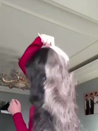 #皂懿植物萃取养发护发何首乌侧柏叶草本洗发100克洗头手工皂 #护发养发 #分享 #洗头皂 #强烈推荐