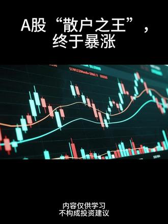 A股“散户之王”, 终于暴涨 #京东方