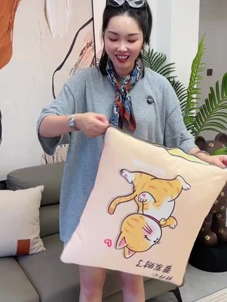 家里办公室都可以用的抱枕被子两用#抱枕被子两用 #抱枕被 #空调被