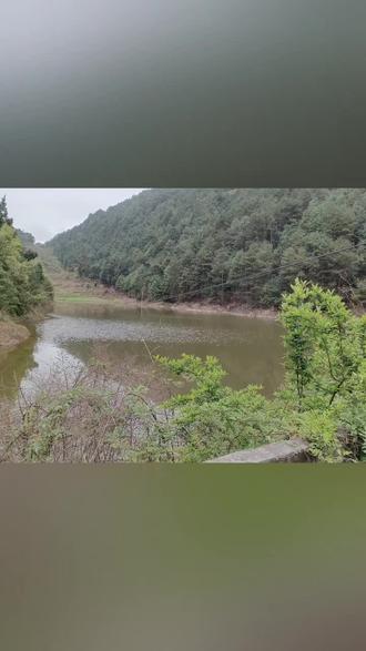 万家沟大塘即日起对外开放钓鱼 收费标准按200元一天计算钓的鱼货可全部带走(此活动仅限一人一杆垂钓 如垂钓过程中发现有使用多杆垂钓者按每杆300元加收钓费)请各位钓友钓鱼前先打电话沟通好再下鱼竿 如发现未打电话沟通钓鱼者按盗窃处理(每年的3月1日到6月1日为禁钓期)喜欢钓鱼的朋友电话联系我 15182510119 此消息转发朋友圈集赞100 截图加微信发给我首次垂钓可抵50元钓费#原来钓鱼才是抖音运动顶流 #钓鱼佬永不空军 #爱生活爱钓鱼 #钓鱼的乐趣只有钓鱼人懂