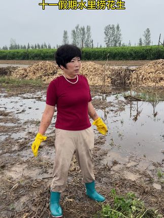 河南持续降雨,十一假期在地里捞花生!#薅花生 #农村生活