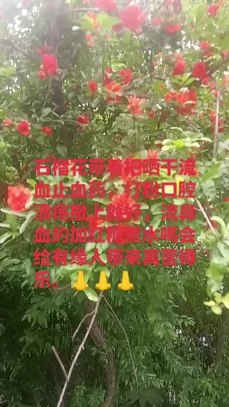 做个善良有福报的女人传递正能量。👃👃👃❤️❤️