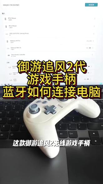 御游追风2无线游戏手柄PC电脑Switch全霍尔体感震动蓝牙