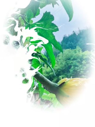 一声早安,,真心祝福,咸思相遇,一身真珍灬##怎么让脸上的胶原蛋白变多 #嘴角出现木偶纹代表什么 #嘴角出现木偶纹代表什么