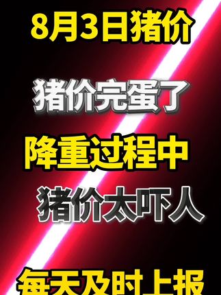 #猪价行情 #养猪人不容易 #三农 #三农养殖 #养猪人 @猪财神说猪事