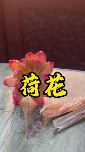 #手工作品教程分享#变废为宝#玉米叶荷花 #农村真实生活视频 大地里随便捡的一把玉米叶,就可以做个插花摆件,为枯燥的冬天又添一缕春色