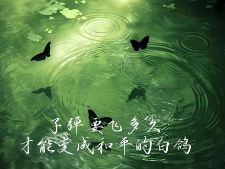 子弹要飞多久,才能变成和平的白鸽? #世界和平永无战争 #子弹要飞多久才能变成白鸽