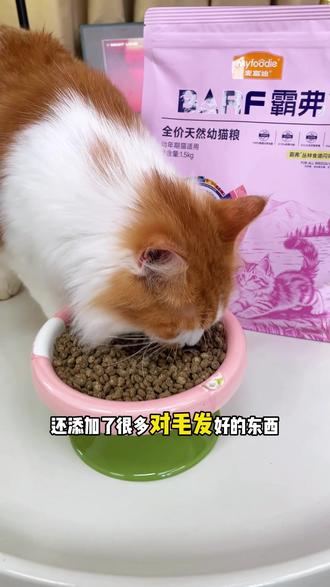 我就说吧,618肯定能捡到大漏,就这个麦富迪的霸弗美毛猫粮现在真的太划算了#麦富迪barf霸弗猫粮 #美毛猫粮 #猫粮推荐 #养宠好物