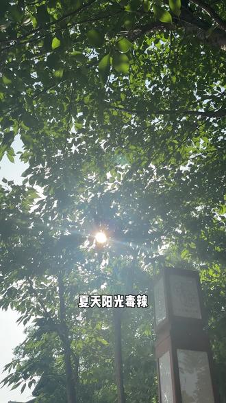 给孩子买的镜音儿童墨镜,现在出门都在抢着戴 #墨镜 #儿童墨镜 #高颜值墨镜 #儿童方框墨镜 #偏光墨镜