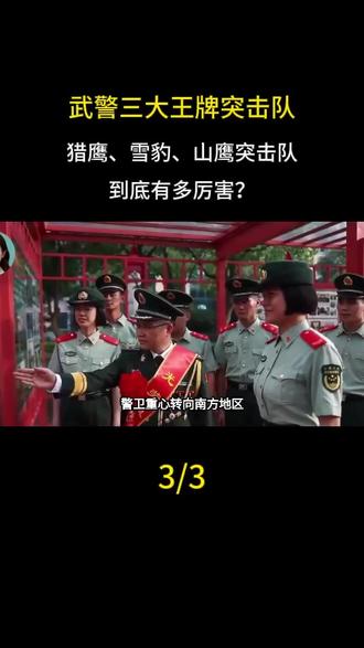 武警三大王牌突击队,猎鹰、雪豹、山鹰突击队,到底有多厉害?