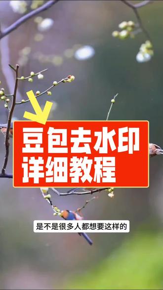 豆包制作的视频有水印#豆包去水印