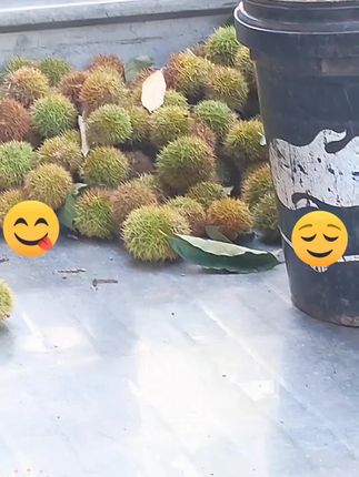 不要看不起任何人,三十年河东三十年河西#结局万万没想到 #不要看不起任何人#内容过于真实#不要狗眼看人低#意不意外惊不惊喜