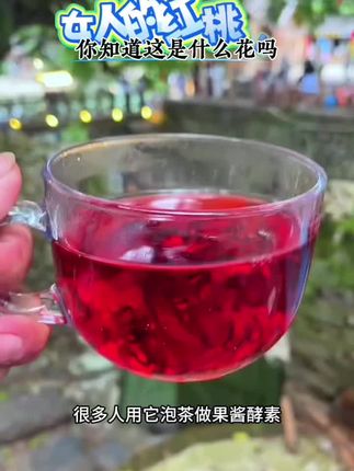#一起感受大自然的馈赠 #你见过吗 #洛神花茶 #女人的红桃K