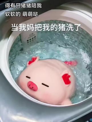 MINISO萌猪猪抱枕#毛绒玩具 #可爱到爆 #可爱 #爱了爱了