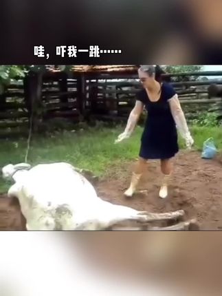 快看,这…… #行李箱#学生党必备 #脑洞大开 #懒人必备