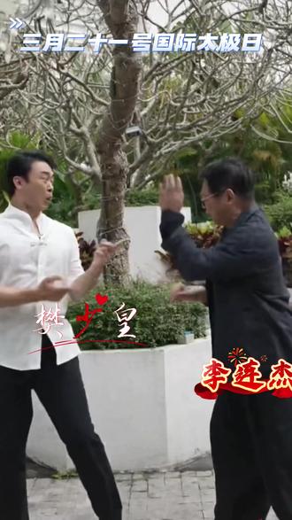 樊少皇 李连杰 一起玩太极