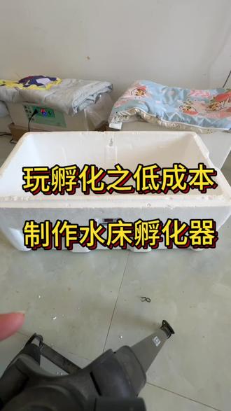 低成本制作水床孵化器,想玩孵化的可以看看#孵化 #我的农村生活 #水床孵化 #水床孵化器 #学习知识