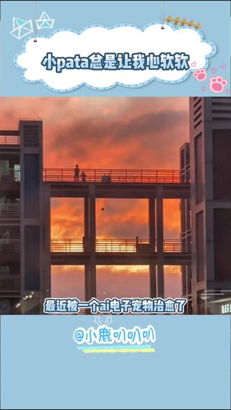 如果有一个永远不会嫌你烦的朋友,你愿意领养吗#pata #治愈 #朋友 #可爱