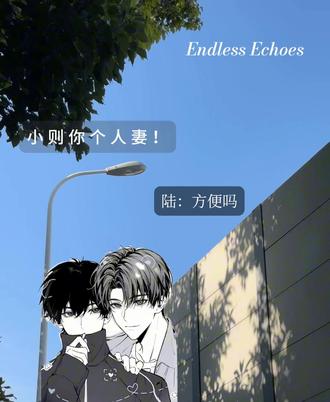 陆赫扬别装了,你就是想去老婆家#赫则 #漫播 #广播剧 Endless Echoes