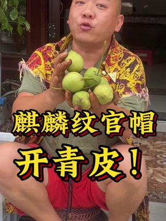 #文玩爱好者 #青皮核桃 #文玩核桃 #开青皮
