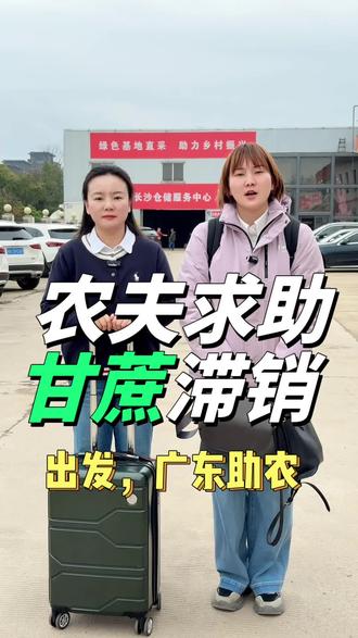 出发,广东助农!❤️
看着广东、广西满地的甘蔗滞销,真的心疼每一位辛勤劳作的蔗农。收到大家的求助,我们即刻出发,为爱前行。
不博流量,只愿每一份耕耘都有收获,用我们的小小力量,帮蔗农渡过难关。
📢重要通知:本周日加播!
助力粤桂蔗农,把新鲜甘甜的甘蔗带给大家,感谢每一份善意的支持!#全家享供应链