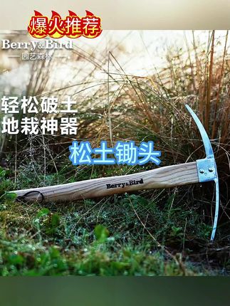 Berry&Bird加厚不锈钢鹤嘴锄,原木手柄,超厚不锈钢锄头,花园的好帮手!#锄头 #园林工具 #园艺工具 #小锄头 #锄头除草