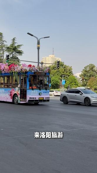 来洛阳别瞎逛!亲测超治愈路线+伴手礼攻略✅ 这个簪花公交车🚌你们坐了吗?!
#洛阳旅游 #洛阳伴手礼 #梦唐茶与酥 #洛阳牡丹甲天下 #洛阳牡丹文化节