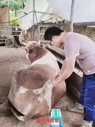 透皮溶液#养殖人加油 #三农养殖 #自繁自养
