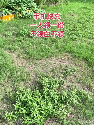一人撸一单#手机快充 家人们~赶紧薅#华为120w超级快充 #快充数据线 #数码产品 #新人福利