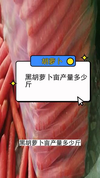 黑胡萝卜亩产量多少斤
