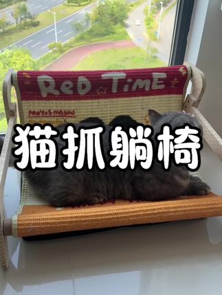 我的小猫咪,当然要安排一个最好的给他啦,可以睡觉可以做猫抓床的躺椅#强烈推荐 #猫抓板 #新手养猫 #宠物躺椅 #宠物用品