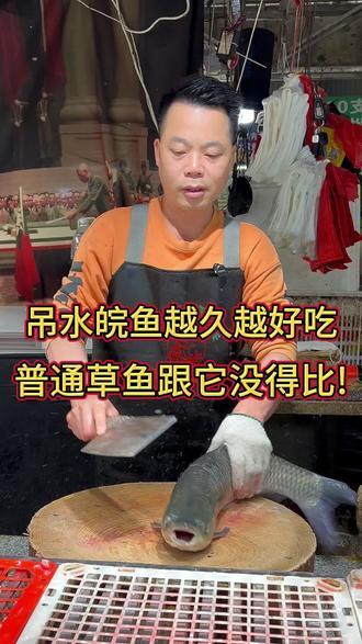 吊水皖鱼越久越好吃,普通草鱼跟它没得比。#日常分享 #刀工#砍切刀#杀鱼技术