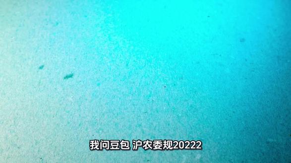 对禁止使用探鱼器钓鱼的理解#钓鱼人#探鱼器#鱼探探无畏号