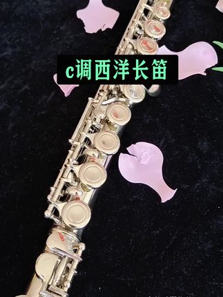 c调西洋长笛#长笛#长笛推荐#爆款热卖中