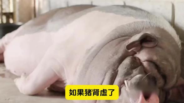 省流合集来啦~ #有趣的知识又增长了