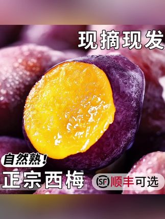福瑞达正宗西梅当季新鲜水果现摘蓝蜜法兰西脆甜西梅李子大果包邮#西梅 #西梅李子 #新鲜水果