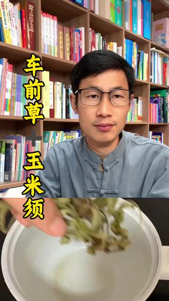 车前草加玉米须#知识分享