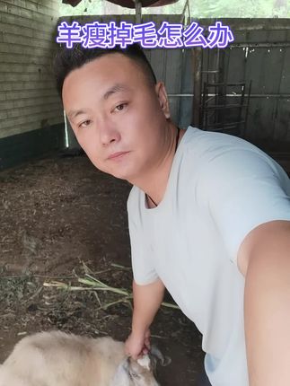 #三农养殖 #农村养羊 #养羊技术 #养羊人