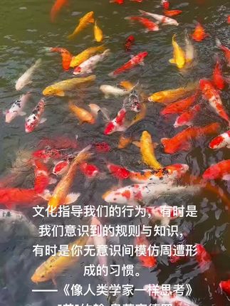#像人类学家一样思考 #见者好运 #书单 #晓奕视觉 #筱奕阅读