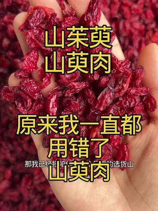 #山茱萸 #山萸肉#泡水泡酒#山茱萸泡水 #山茱萸肉