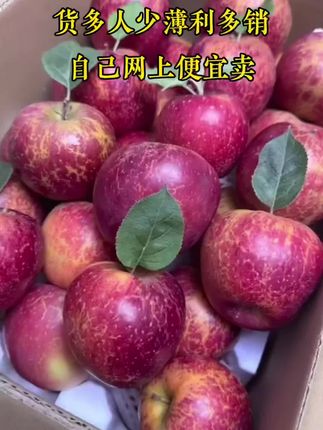 云南昭通丑苹果,丑是真的丑,但是甜也是真的甜,脆甜爽口多汁,出名的好吃,吃一次就会爱上它,喜欢吃苹果的朋友一定不要错过啦#苹果 #应季水果 #农产品 #优质水果 #源头好货