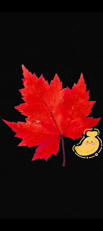 豆包整理的十二豆高光名场面~#豆包 #豆包评价 #亦十二直播回放 @亦十二 @亦与十二 @亦十二(不是本人) @虚虚小心