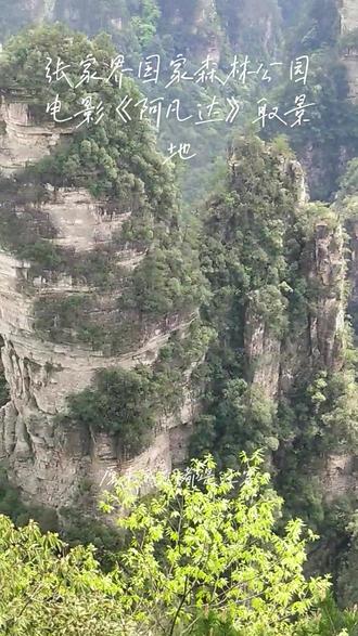 张家界国家森林公园
电影《阿凡达》取景地