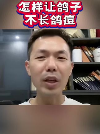怎么样让鸽子不长痘#养鸽人 #鸽子 #信鸽赛鸽 #爱鸽人#鸽子养殖技术