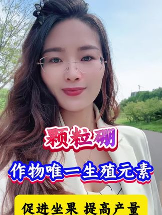 颗粒硼 作物唯一生殖元素 促进坐果 提高产量#颗粒硼 #颗粒硼肥 #颗粒硼肥料 #我的农资之路 #增产增收才是硬道理