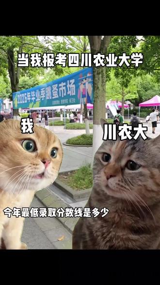 四川农业大学报考指南#高考志愿 #高考志愿填报指南 #四川农业大学