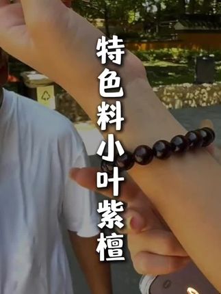 高货的小叶紫檀,文玩必备手串#文玩爱好者 #文玩收藏 #文玩手串 #手串搭配 #文玩配饰