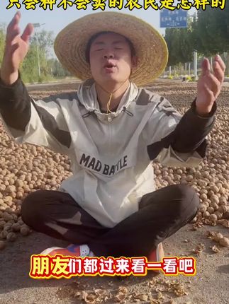 核桃还在费劲砸?试试这个185纸皮核桃#核桃 #纸皮核桃 #新疆185纸皮核桃 #中秋节 #三农