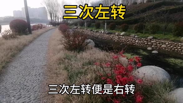 三次左转,便是右转 #我们曾经走过的那条路 #草坪护栏 #道路转角设计 #园林绿化